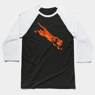 Fire Tiger Baseball T-Shirt